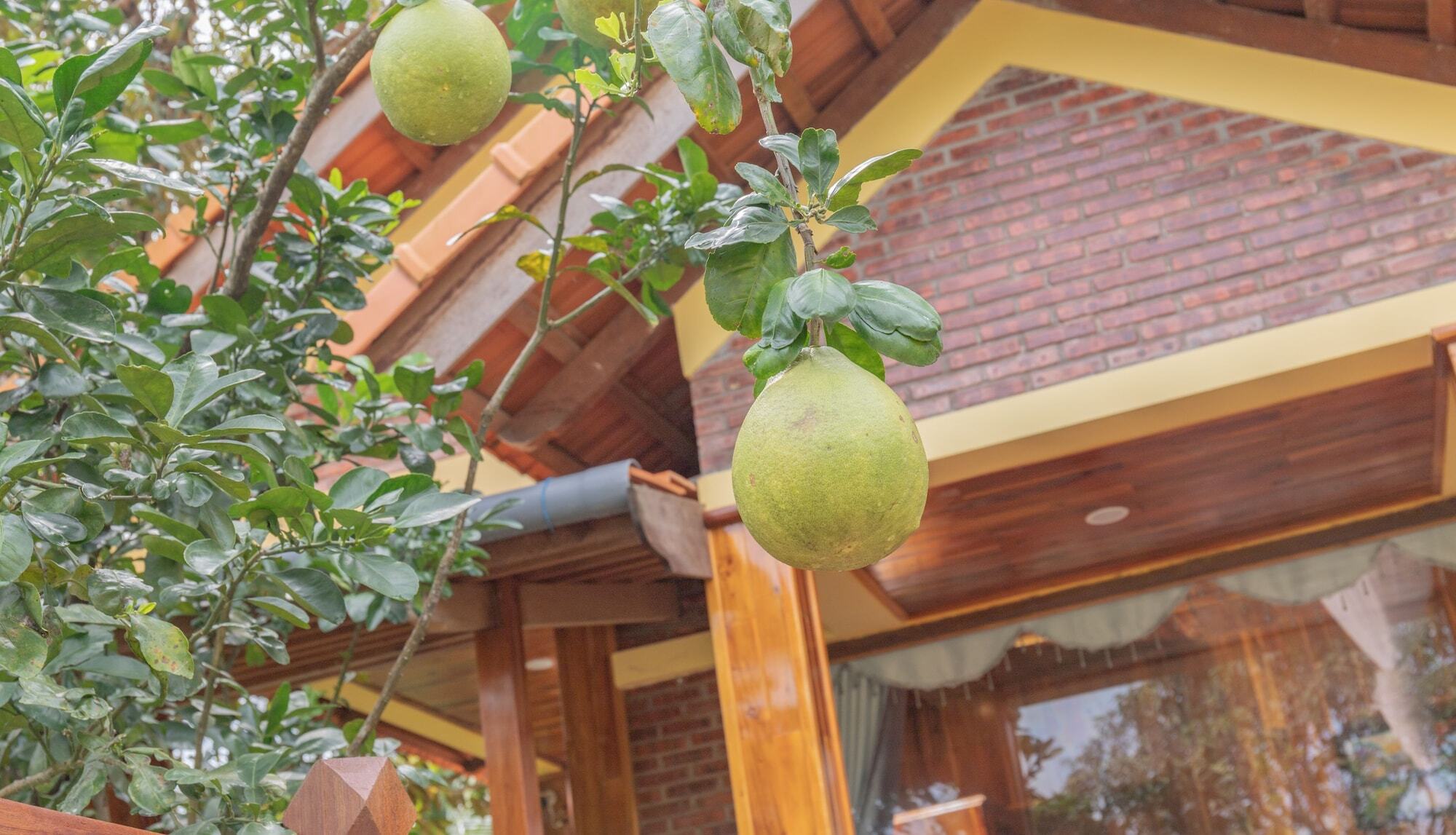 Phu Quoc Pomelo Garden Apartment Exterior photo