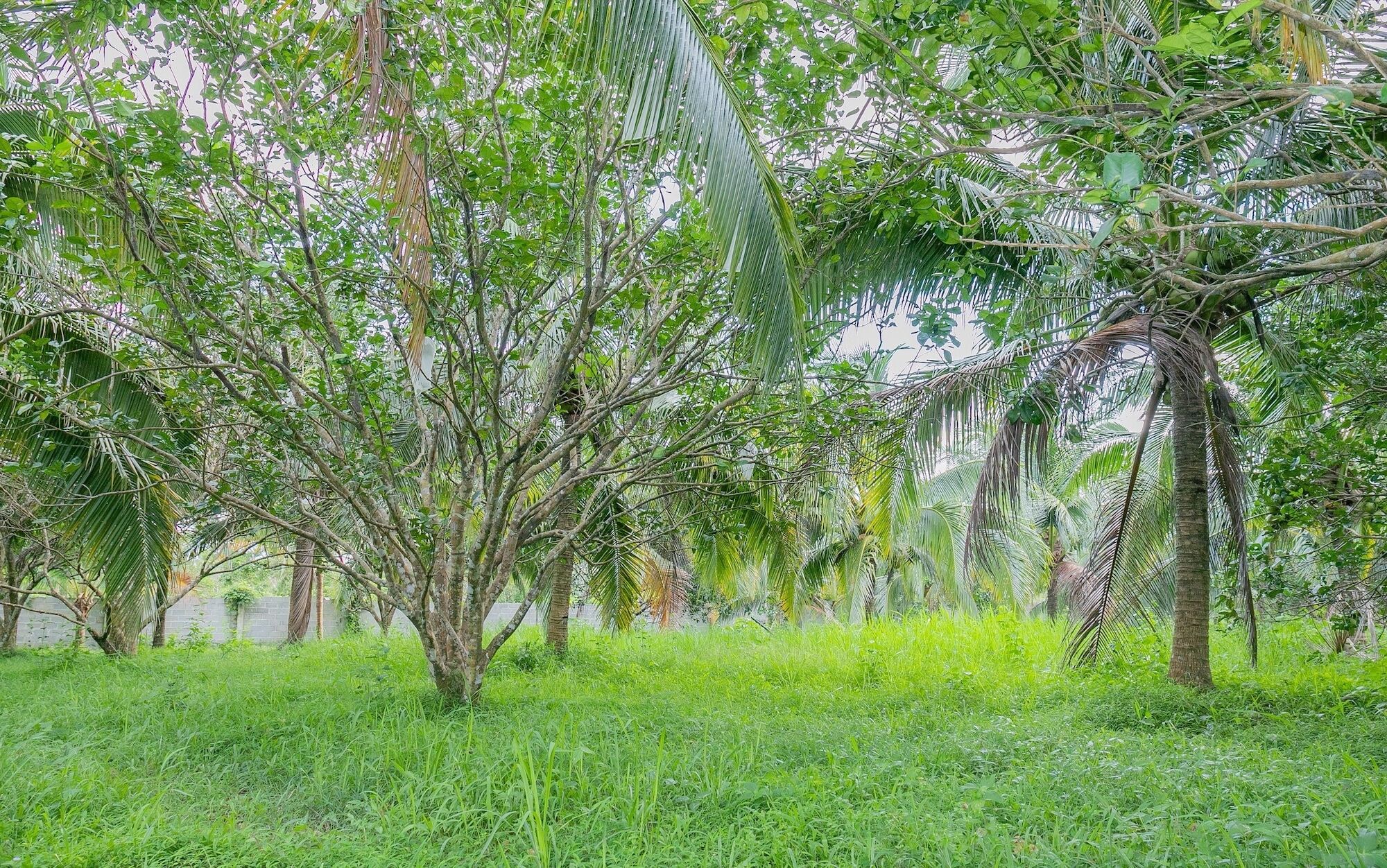 Phu Quoc Pomelo Garden Apartment Exterior photo